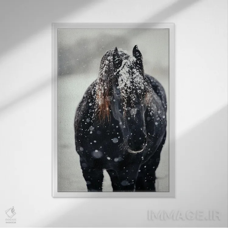 تابلو یافتن آرامش در سرما اثر آنا آرشینگر - نمای قابدار سفید