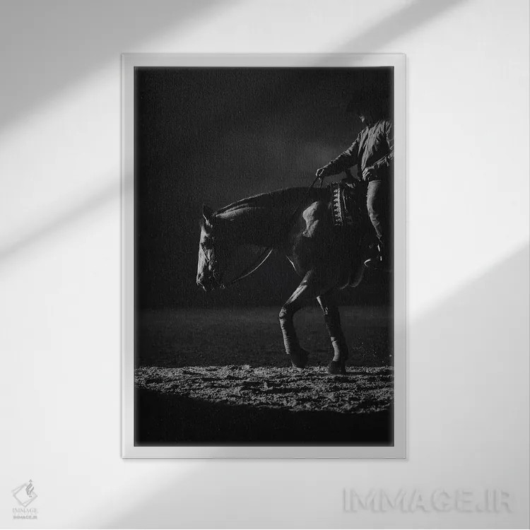 تابلو زیبایی در حرکت اثر آنا آرشینگر - نمای قابدار سفید