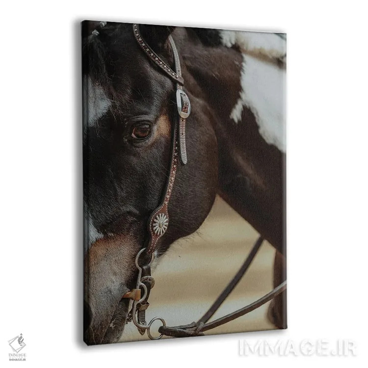 تابلو بازی با سبک اثر آنا آرشینگر - نمای پرسپکتیو محصول