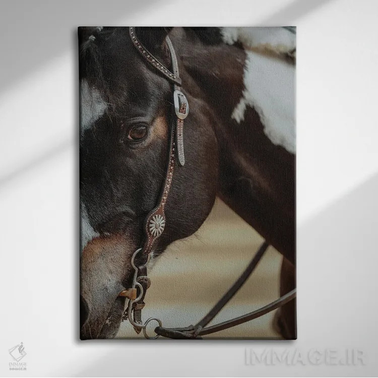 تابلو بازی با سبک اثر آنا آرشینگر - نمای روبهرو روی دیوار