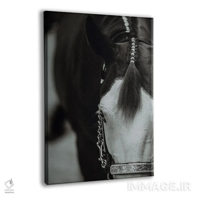 تابلو آماده برای نمایش اثر آنا آرشینگر - نمای پرسپکتیو محصول