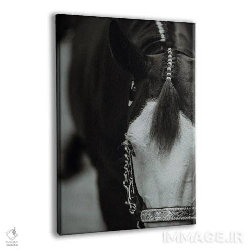 تابلو آماده برای نمایش اثر آنا آرشینگر - نمای پرسپکتیو محصول