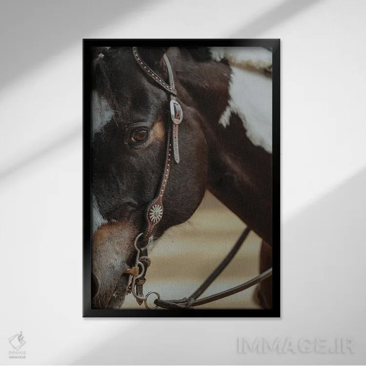 تابلو بازی با سبک اثر آنا آرشینگر - نمای قابدار مشکی