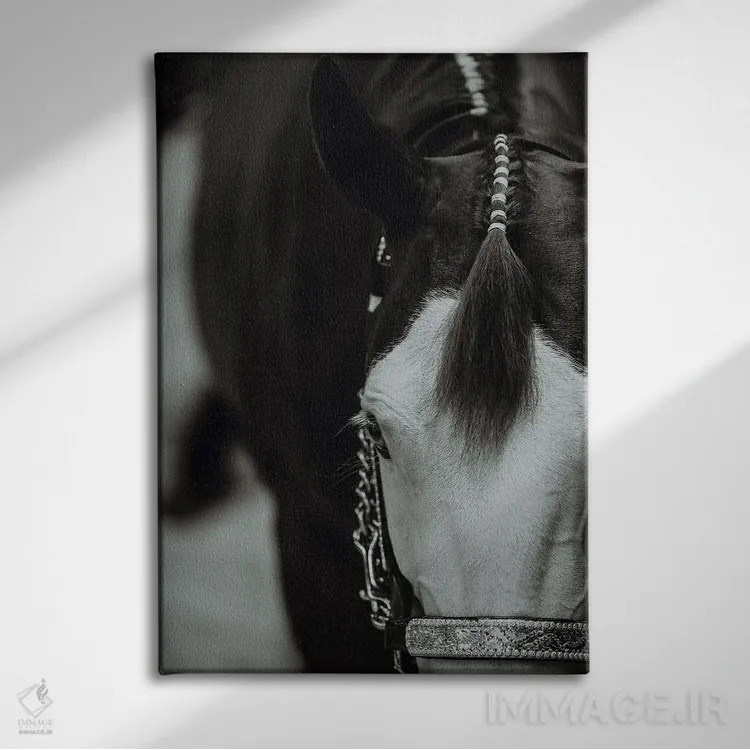 تابلو آماده برای نمایش اثر آنا آرشینگر - نمای روبهرو روی دیوار