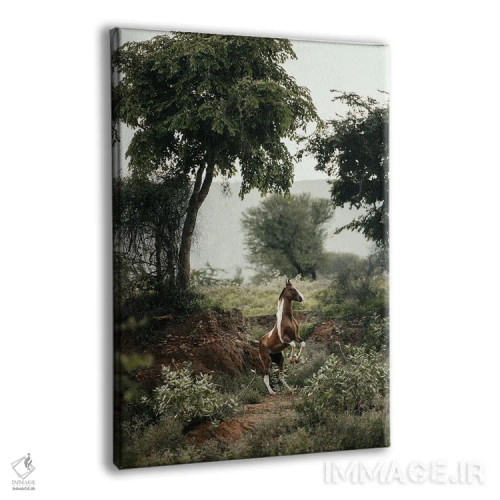 تابلو مهار افق عمودی اثر آنا آرشینگر - نمای پرسپکتیو محصول