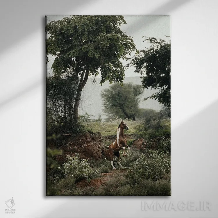 تابلو مهار افق عمودی اثر آنا آرشینگر - نمای روبهرو روی دیوار