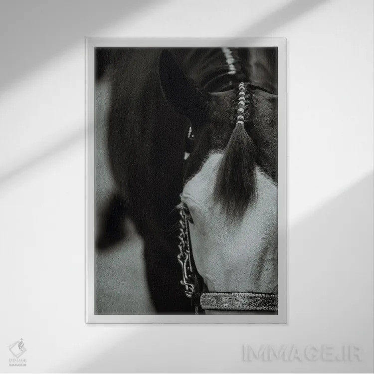 تابلو آماده برای نمایش اثر آنا آرشینگر - نمای قابدار سفید