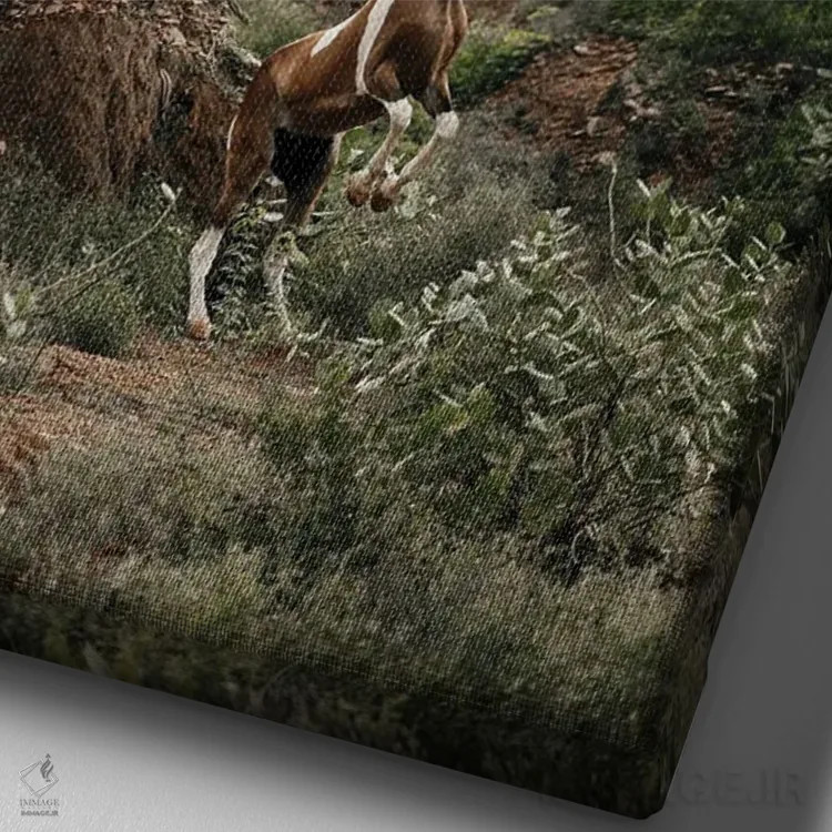 تابلو مهار افق عمودی اثر آنا آرشینگر - نمای نزدیک بافت بوم