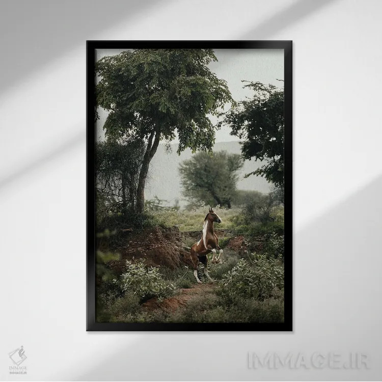 تابلو مهار افق عمودی اثر آنا آرشینگر - نمای قابدار مشکی