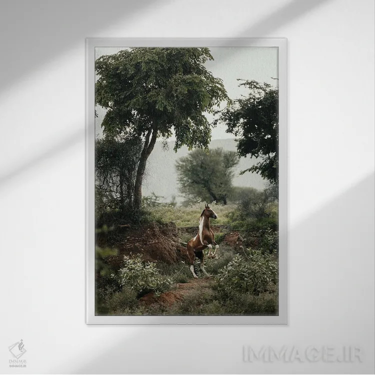 تابلو مهار افق عمودی اثر آنا آرشینگر - نمای قابدار سفید