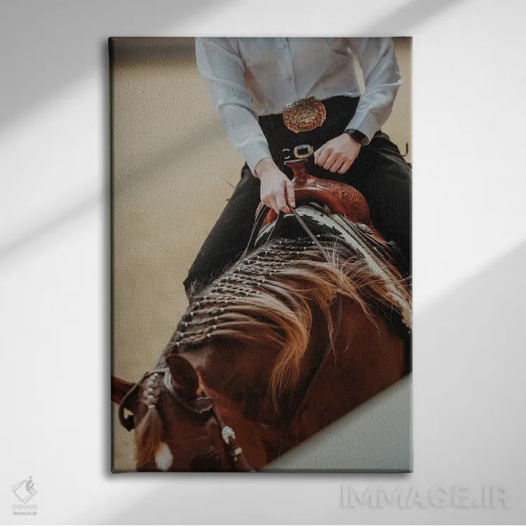 تابلو وقار سوارکار اثر آنا آرشینگر - نمای روبهرو روی دیوار