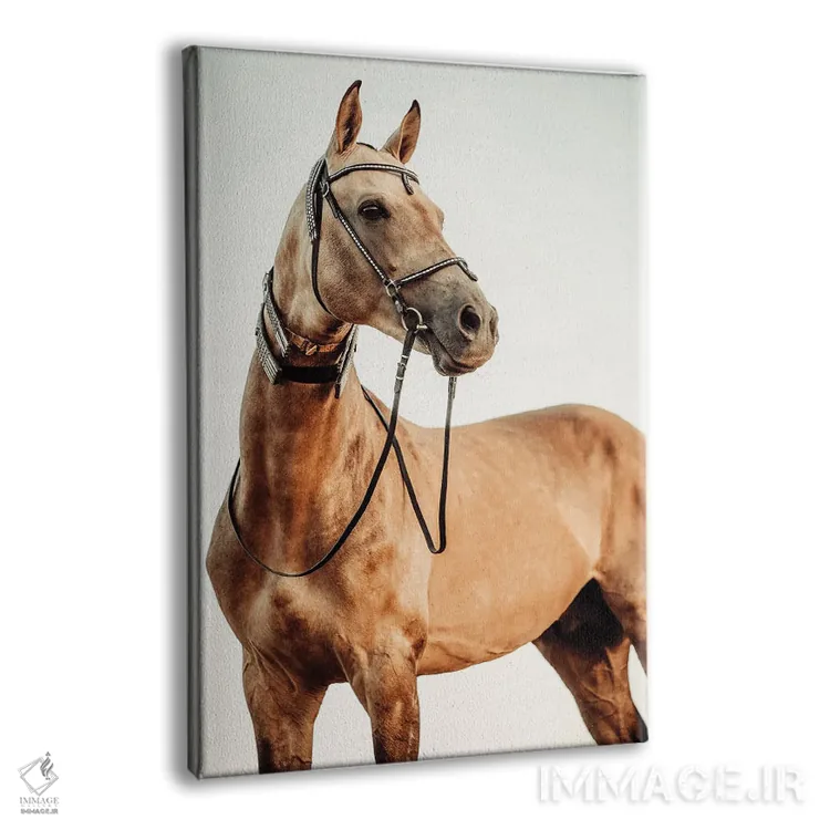 تابلو نگاه خوشبینانه اثر آنا آرشینگر - نمای پرسپکتیو محصول