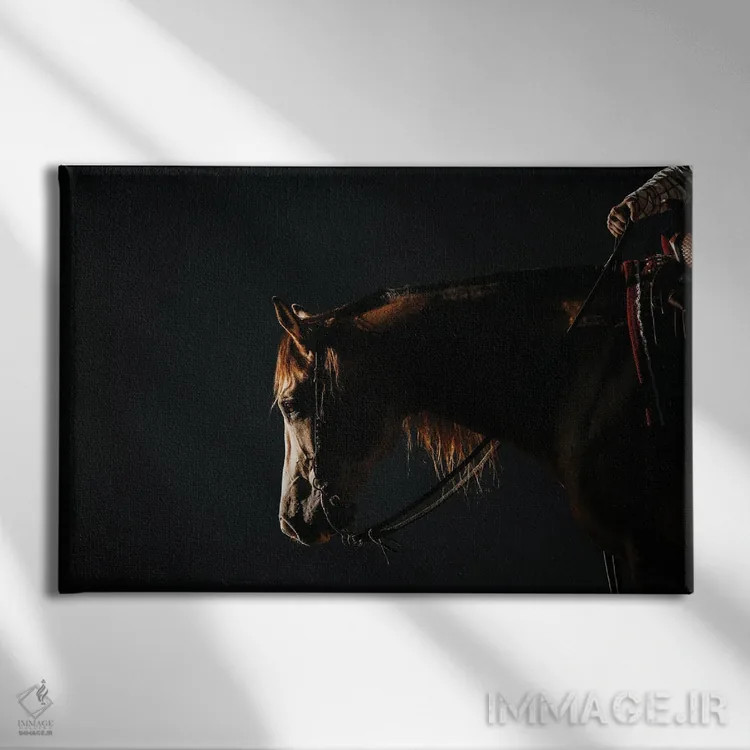 تابلو آرامش در سایه اثر آنا آرشینگر - نمای روبهرو روی دیوار