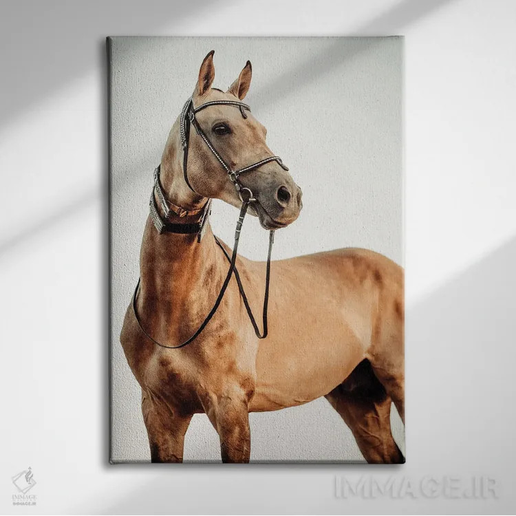 تابلو نگاه خوشبینانه اثر آنا آرشینگر - نمای روبهرو روی دیوار