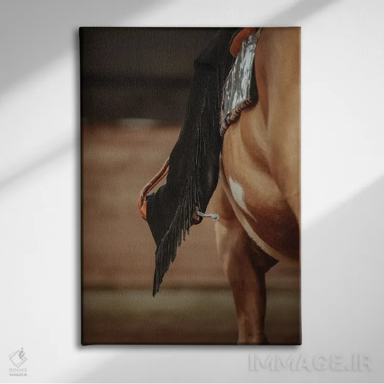 تابلو کالبدشناسی انتزاعی اثر آنا آرشینگر - نمای روبهرو روی دیوار