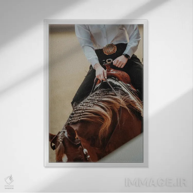تابلو وقار سوارکار اثر آنا آرشینگر - نمای قابدار سفید