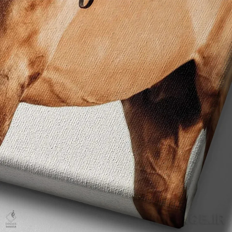 تابلو نگاه خوشبینانه اثر آنا آرشینگر - نمای نزدیک بافت بوم