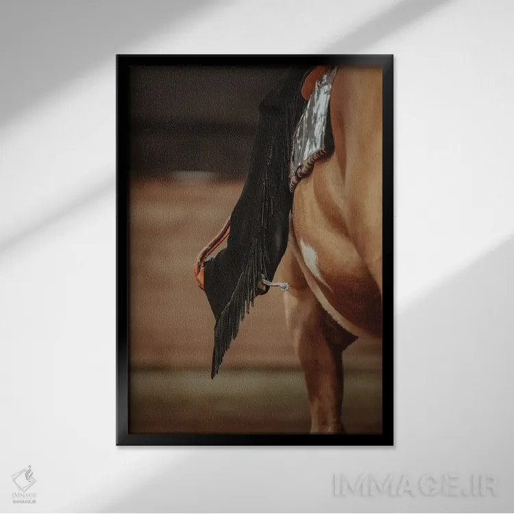 تابلو کالبدشناسی انتزاعی اثر آنا آرشینگر - نمای قابدار مشکی