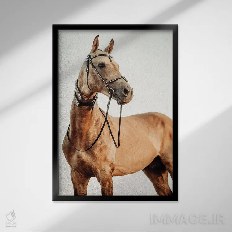 تابلو نگاه خوشبینانه اثر آنا آرشینگر - نمای قابدار مشکی