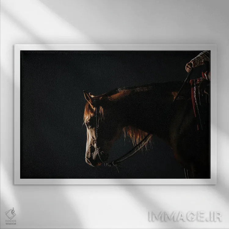 تابلو آرامش در سایه اثر آنا آرشینگر - نمای قابدار سفید