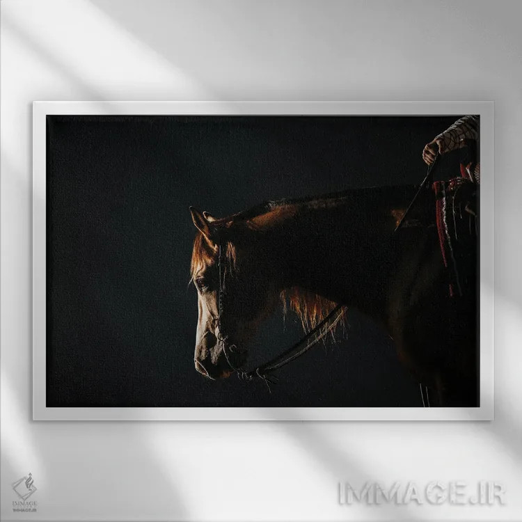 تابلو آرامش در سایه اثر آنا آرشینگر - نمای قابدار سفید