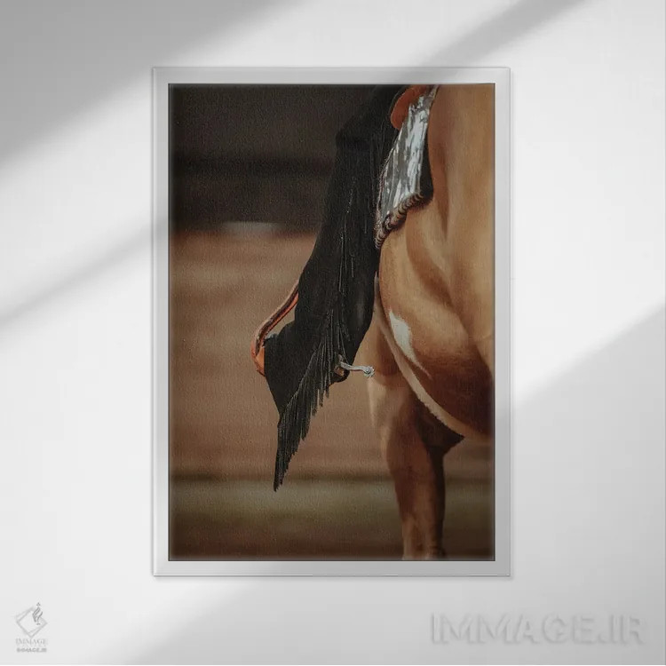 تابلو کالبدشناسی انتزاعی اثر آنا آرشینگر - نمای قابدار سفید