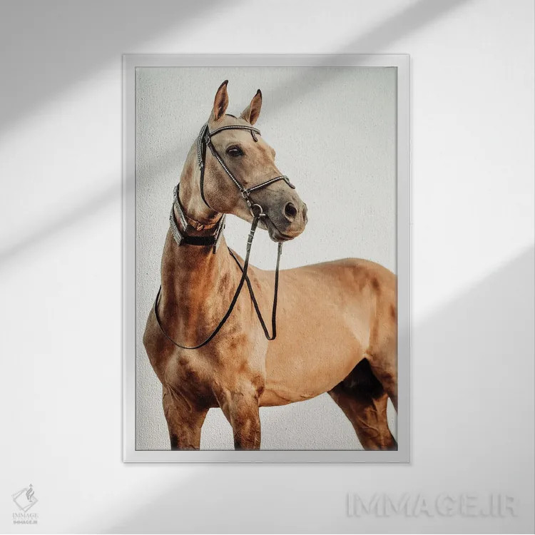 تابلو نگاه خوشبینانه اثر آنا آرشینگر - نمای قابدار سفید