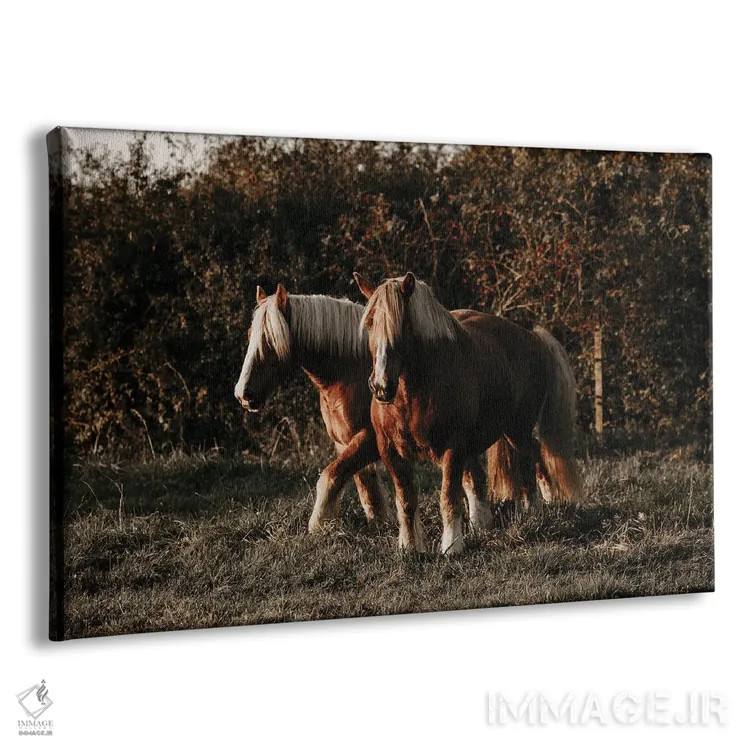 تابلو قدمزدن در غروب اثر آنا آرشینگر - نمای پرسپکتیو محصول