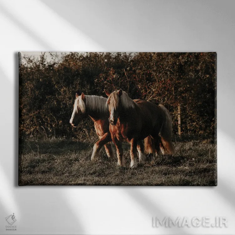 تابلو قدمزدن در غروب اثر آنا آرشینگر - نمای روبهرو روی دیوار