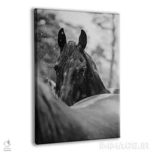 تابلو از میان باران اثر آنا آرشینگر - نمای پرسپکتیو محصول