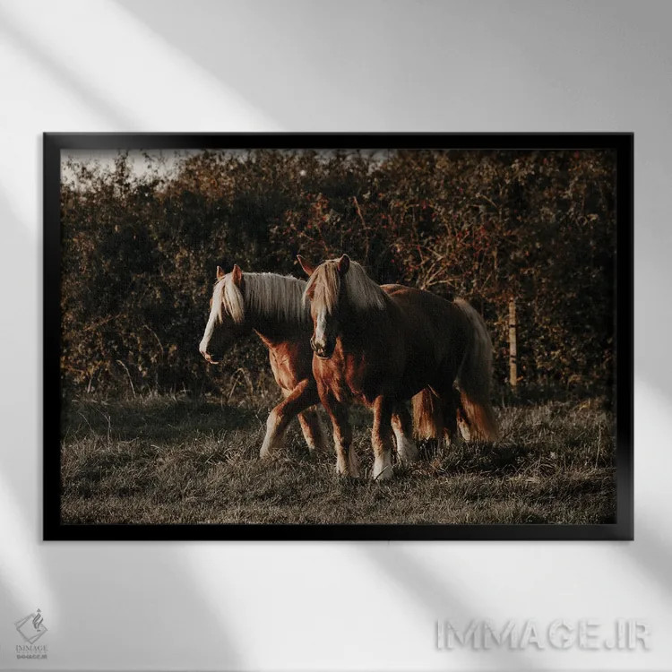 تابلو قدمزدن در غروب اثر آنا آرشینگر - نمای قابدار مشکی