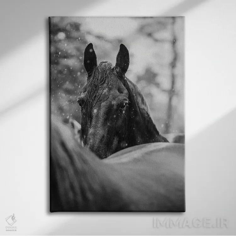 تابلو از میان باران اثر آنا آرشینگر - نمای روبهرو روی دیوار