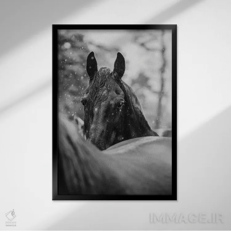 تابلو از میان باران اثر آنا آرشینگر - نمای قابدار مشکی