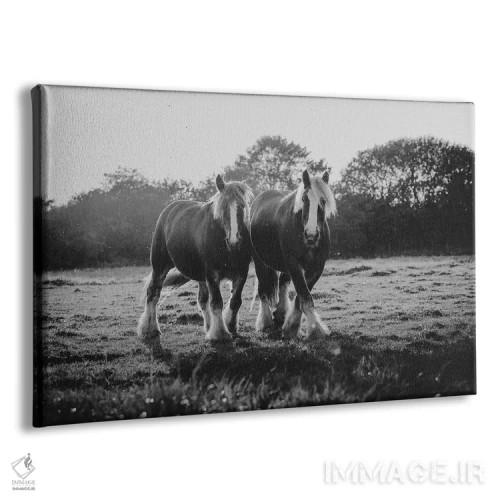 تابلو شادی دوگانه اثر آنا آرشینگر - نمای پرسپکتیو محصول