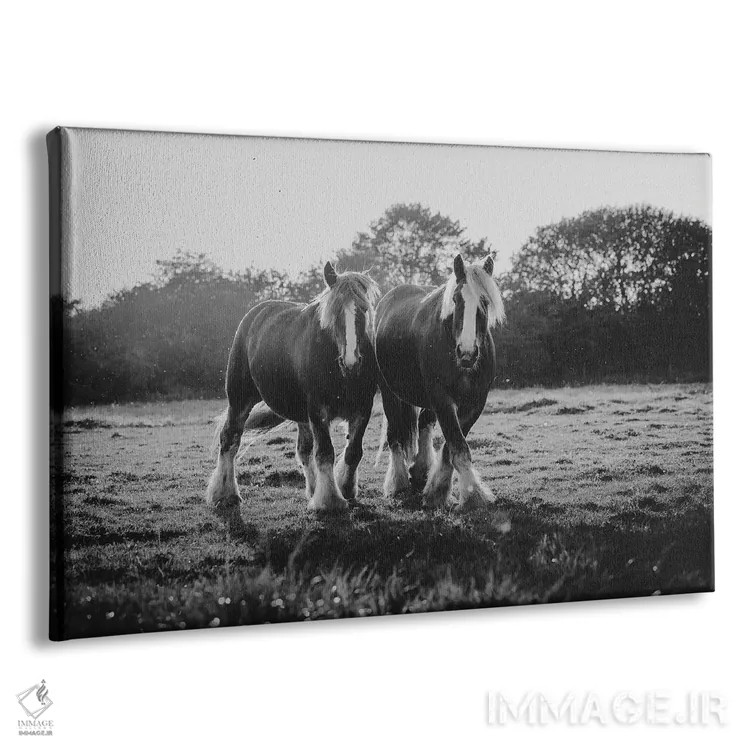 تابلو شادی دوگانه اثر آنا آرشینگر - نمای پرسپکتیو محصول