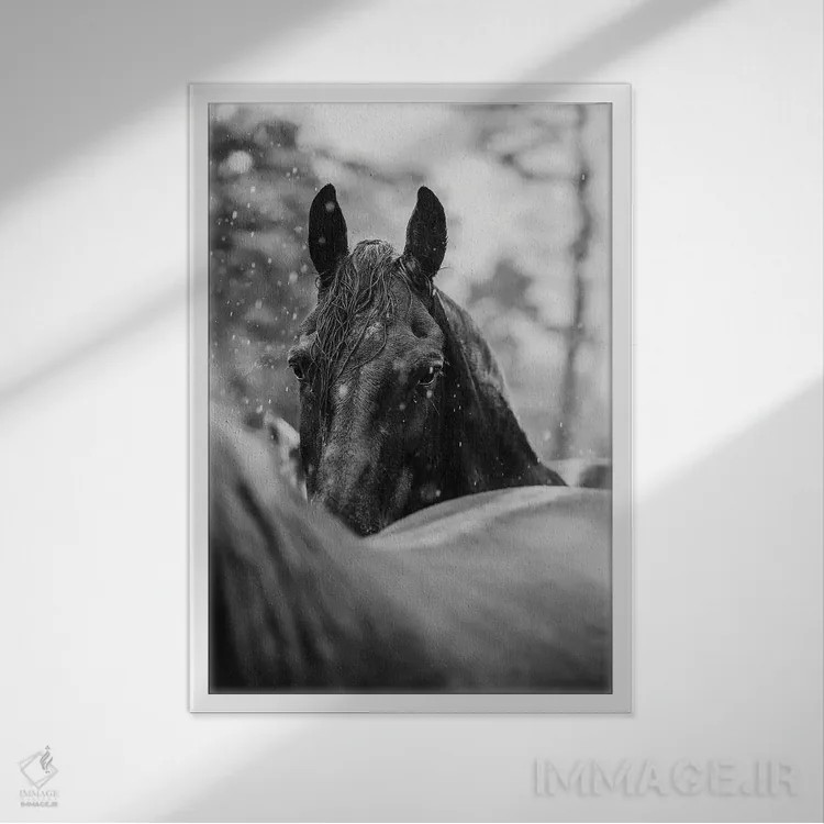 تابلو از میان باران اثر آنا آرشینگر - نمای قابدار سفید