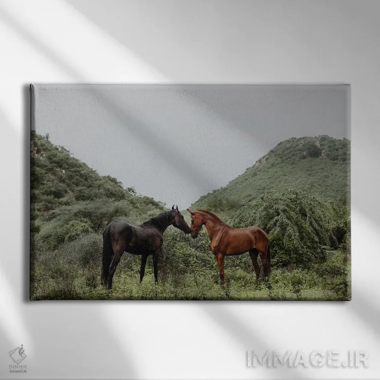 تابلو خطوط تأثیرگذار اثر آنا آرشینگر - نمای روبهرو روی دیوار