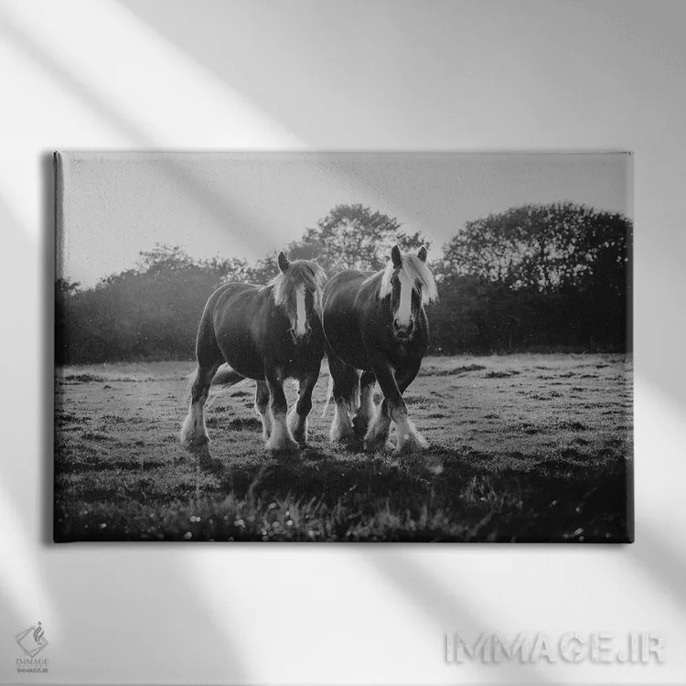 تابلو شادی دوگانه اثر آنا آرشینگر - نمای روبهرو روی دیوار