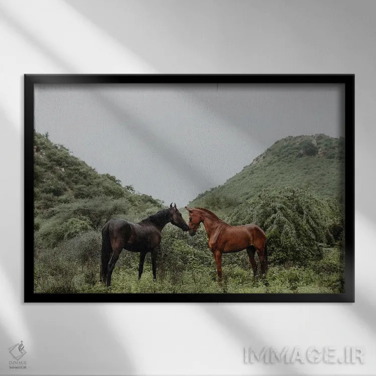 تابلو خطوط تأثیرگذار اثر آنا آرشینگر - نمای قابدار مشکی