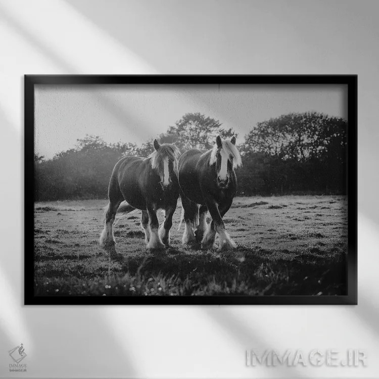 تابلو شادی دوگانه اثر آنا آرشینگر - نمای قابدار مشکی