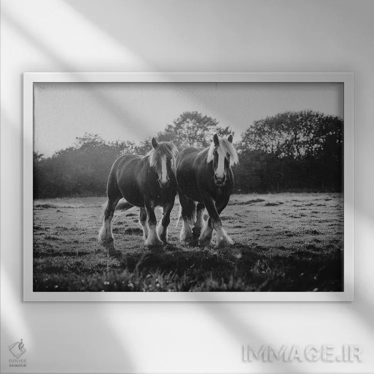 تابلو شادی دوگانه اثر آنا آرشینگر - نمای قابدار سفید