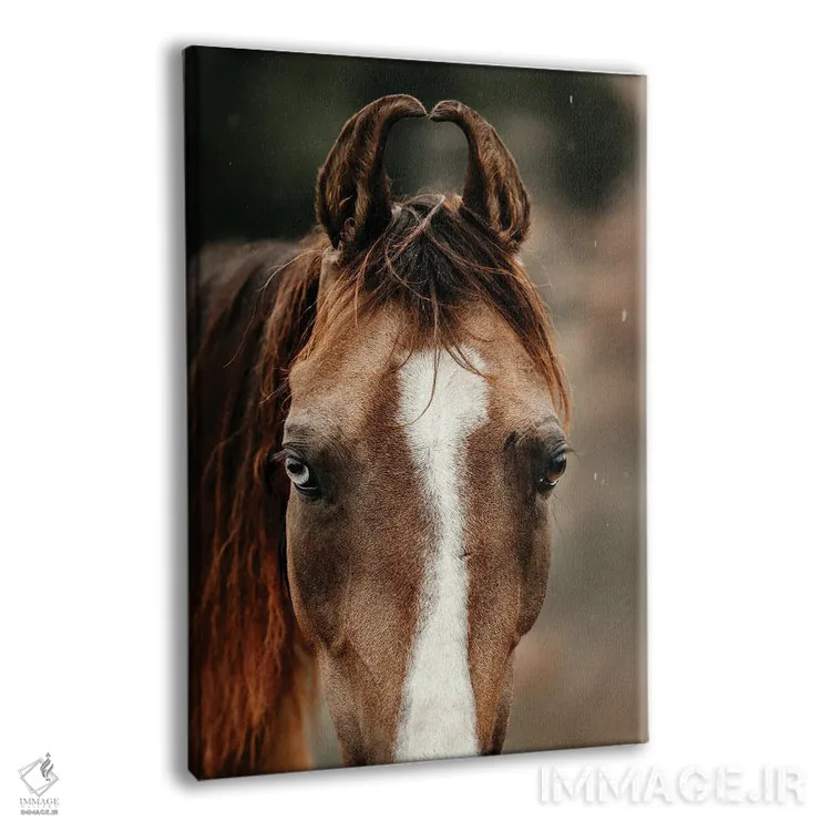 تابلو عدم تقارن رازآلود اثر آنا آرشینگر - نمای پرسپکتیو محصول