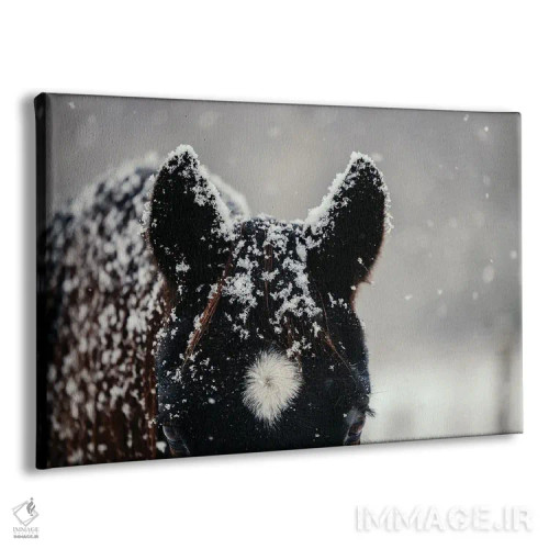 تابلو هماهنگ شدن با محیط اثر آنا آرشینگر - نمای پرسپکتیو محصول