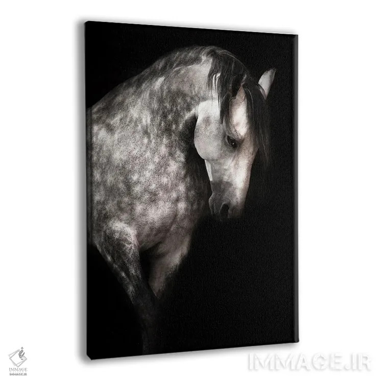 تابلو کاریزما اثر آنا آرشینگر - نمای پرسپکتیو محصول