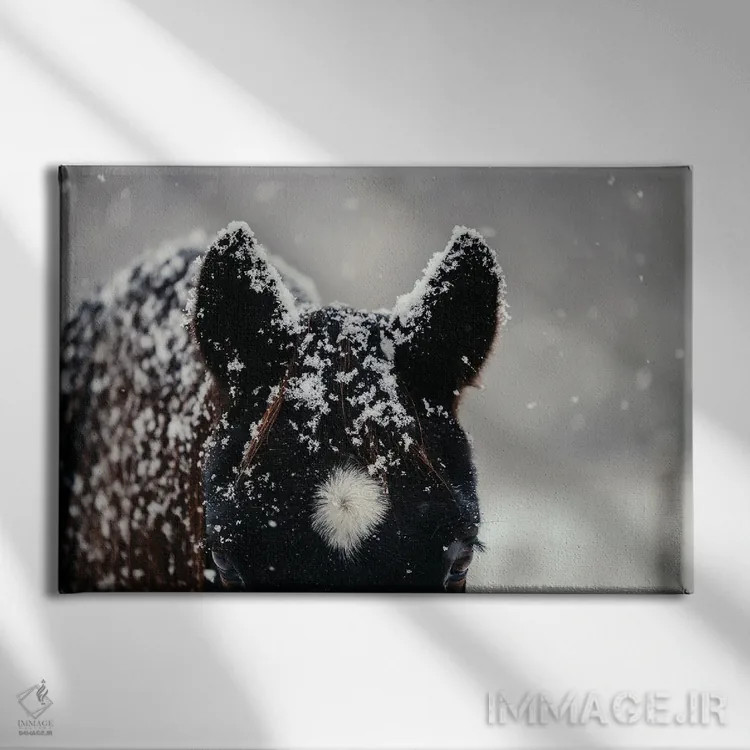 تابلو هماهنگ شدن با محیط اثر آنا آرشینگر - نمای روبهرو روی دیوار