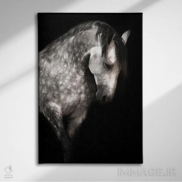 تابلو کاریزما اثر آنا آرشینگر - نمای روبهرو روی دیوار