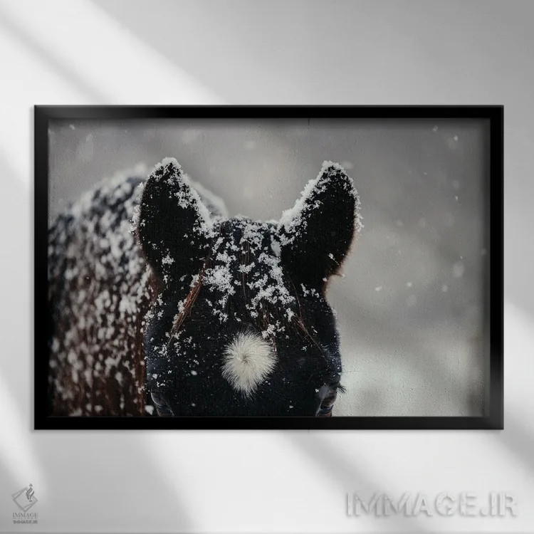 تابلو هماهنگ شدن با محیط اثر آنا آرشینگر - نمای قابدار مشکی