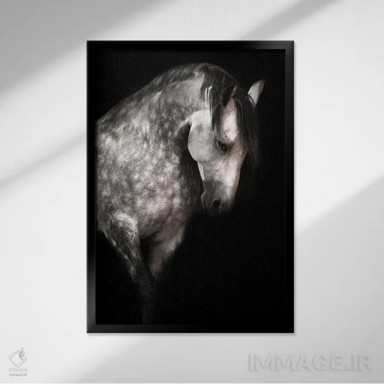 تابلو کاریزما اثر آنا آرشینگر - نمای قابدار مشکی