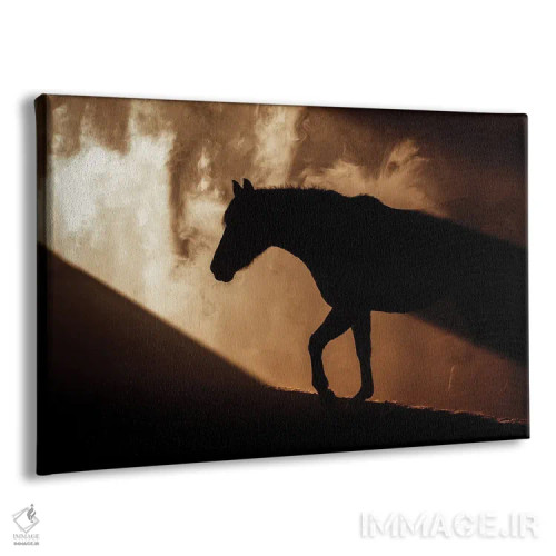 تابلو خط محیطی اثر آنا آرشینگر - نمای پرسپکتیو محصول