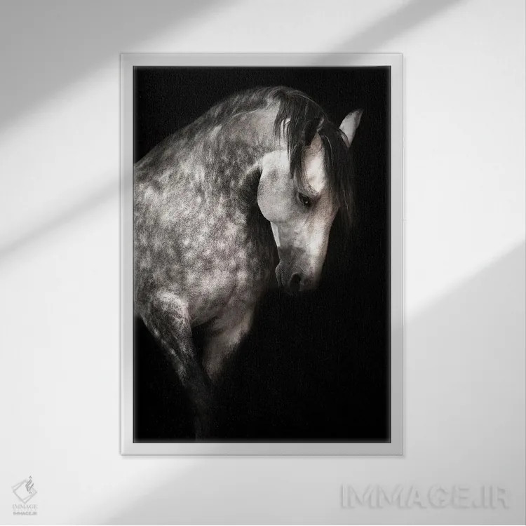 تابلو کاریزما اثر آنا آرشینگر - نمای قابدار سفید